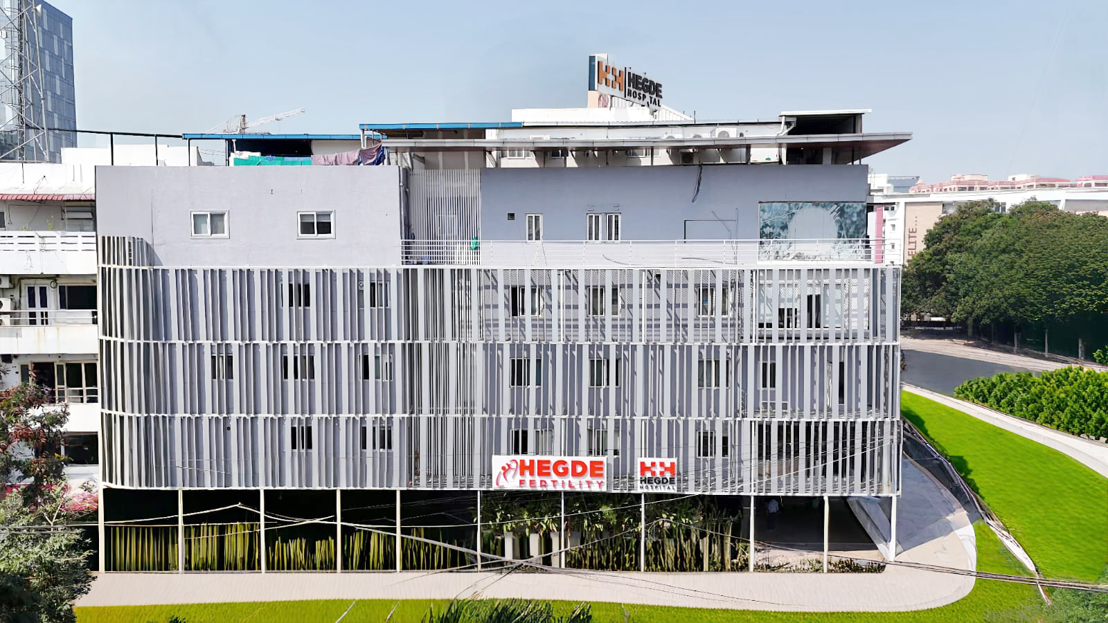 Piles Treatment Illustration