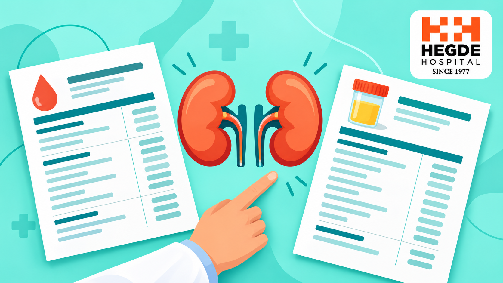 Kidney Function Tests: Why eGFR and Urine ACR Are Read Together